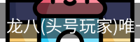 龙八头号玩家唯一